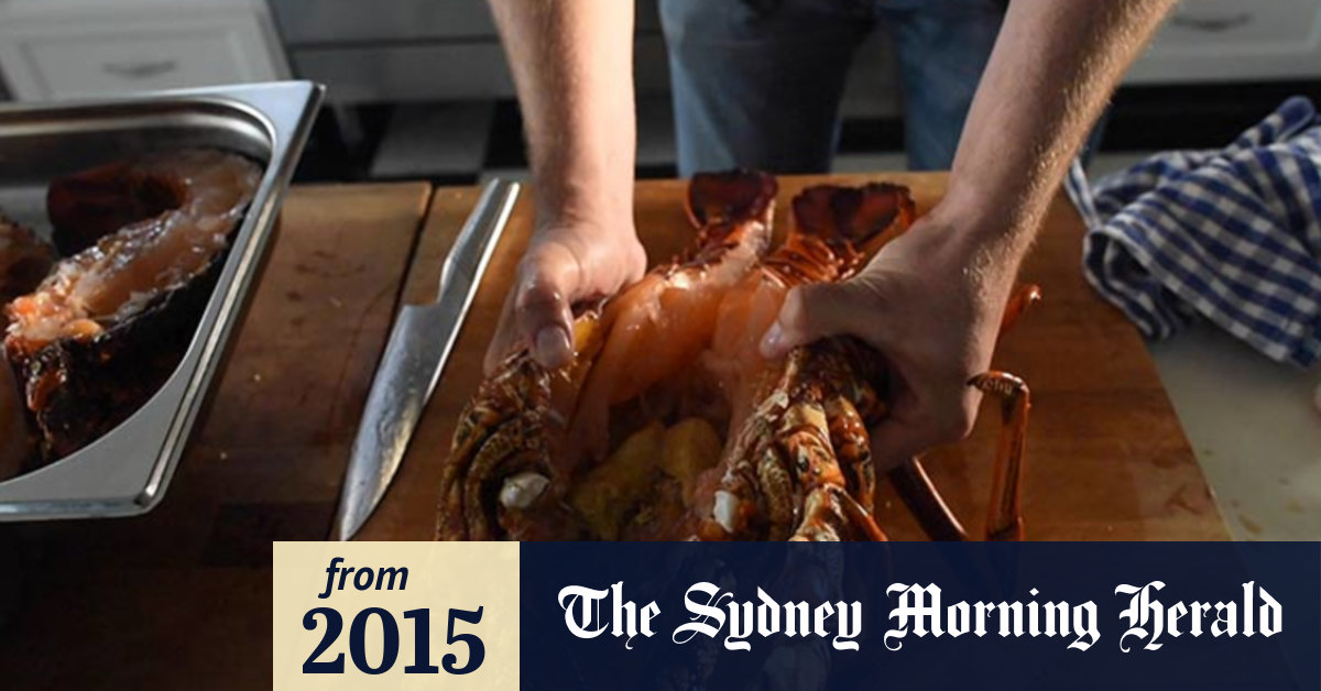 Video How To Cook A King Island Lobster